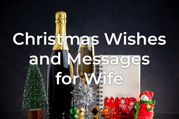 30+ Merry Christmas Wishes for Wife | Styiens